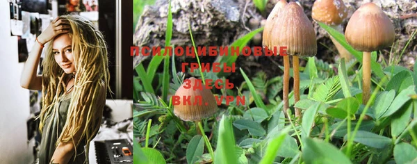 трава Воткинск