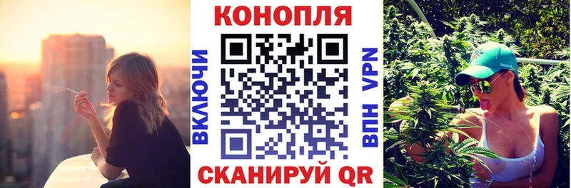 Купить  Касли  Бошки марихуана Amnesia 